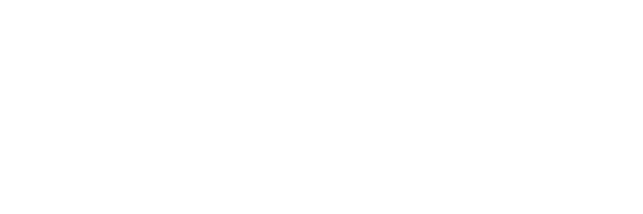 Sanforce International